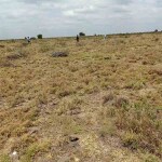 Affordable Strategic Residential Plot Land Joska Kamulu Sun Shine