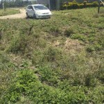 Ready Title Deed 50 x 100 Residential Prime Plot For Sale in Kamulu Joska