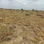 Affordable Strategic Residential Plot Land Joska Kamulu Sun Shine