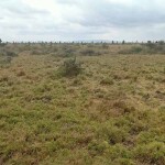 Kangundo Road 50 by 100  Prime Plots Land On Big Offer