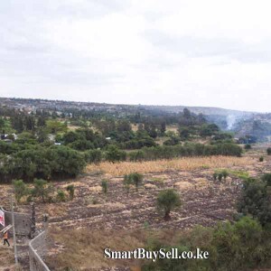 Hot Sale Prime 40 By 80 Residential Plots For Sale in Thika,Thika Road Weteithie